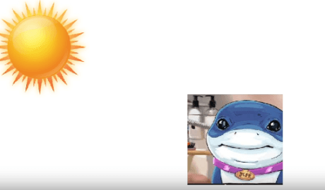 video blog