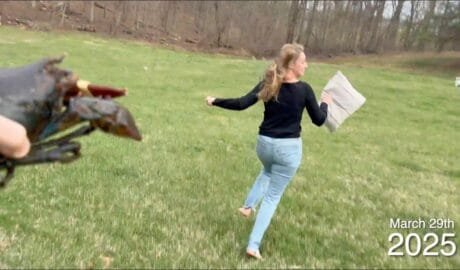 12 years of chasing my wife with a lobster (2025 Update)
