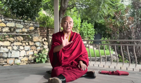 A Secret to Quickly Calm Down Your Mind by Yongey Mingyur Rinpoche
