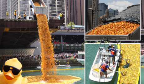 Thousands of rubber ducks race for a cause in the annual Chicago Ducky Derby downtown