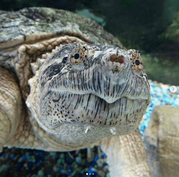 Screenshot 2025 09 08 145518