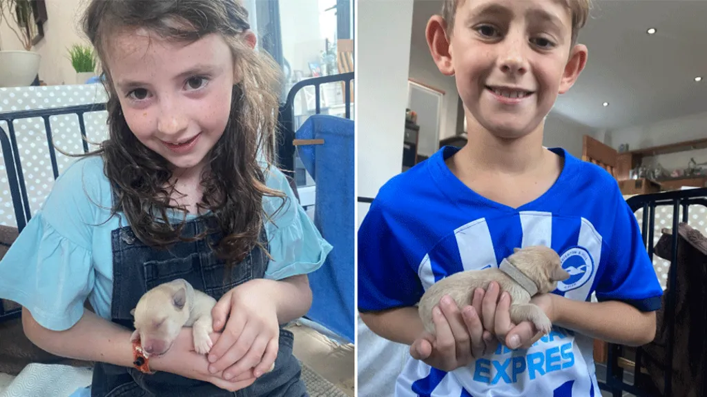 ab3a37a0 866a 11f0 af50 c1dc79fc71e5.png