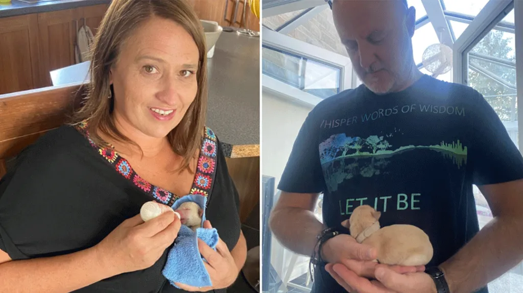 b07728e0 866a 11f0 af50 c1dc79fc71e5.png