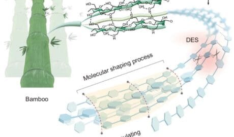 Biodegradable plastic made from bamboo is strong and easy to recycle 12 Biodegradable plastic made from bamboo is strong and easy to recycle