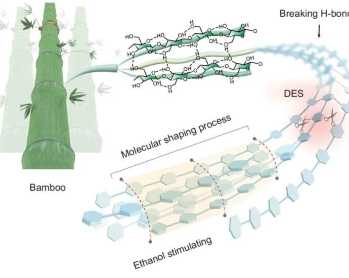 Biodegradable plastic made from bamboo is strong and easy to recycle 8 Biodegradable plastic made from bamboo is strong and easy to recycle