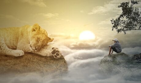 man in grey sweater relaxing next to lion in the cloud protecting your peace
