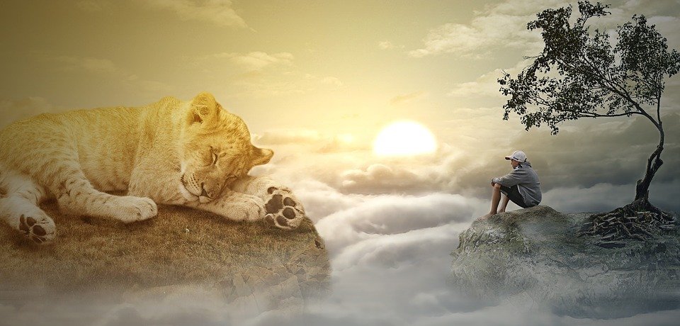 man in grey sweater relaxing next to lion in the cloud protecting your peace