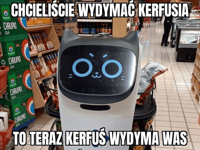 Meet Kerfuś: A Cute Grocery Store Robot Waitress 3 8d3