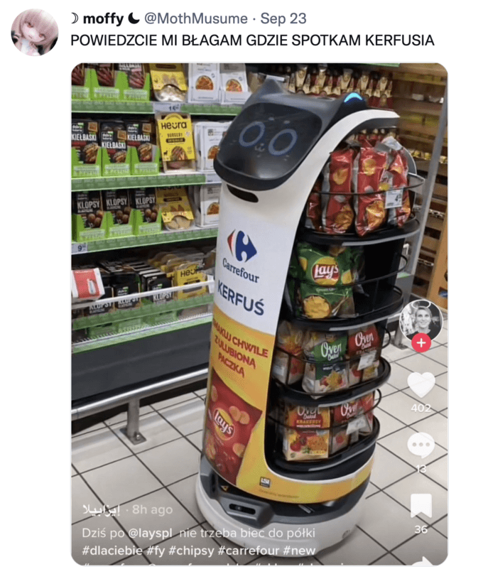 Meet Kerfuś: A Cute Grocery Store Robot Waitress 2 cae 1